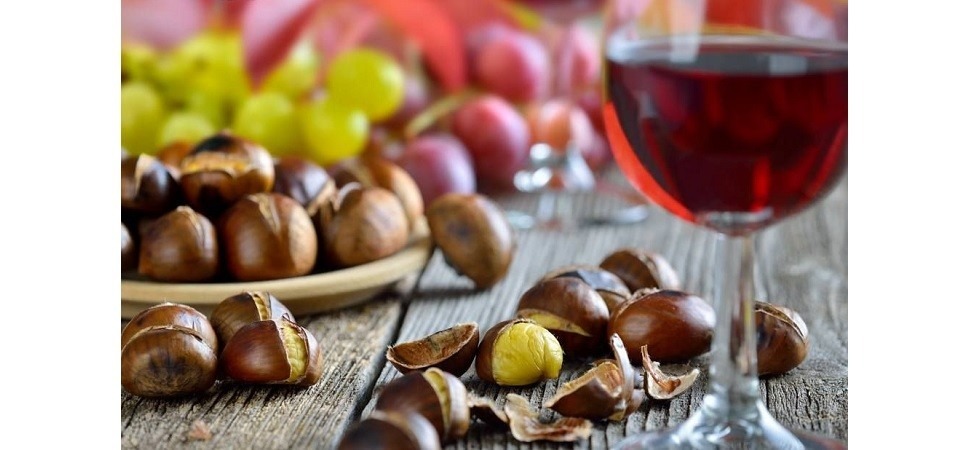 Vino novello in caduta libera, da 20 a 2 milioni di bottiglie prodotte nel giro di una decina di anni